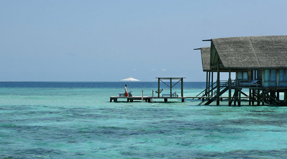Фотография: Cocoa Island Resort – неизменная роскошь на Мальдивах №7 - BigPicture.ru