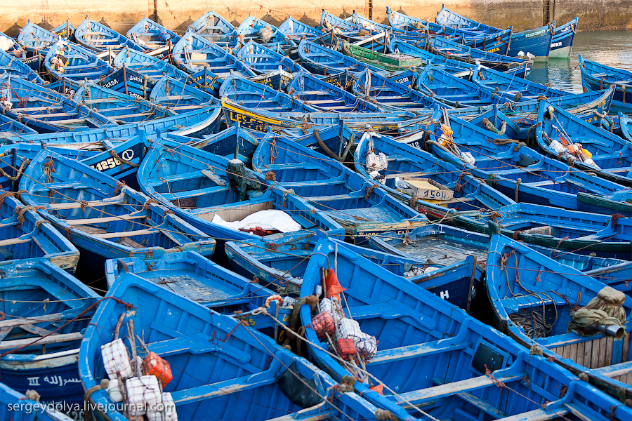 Фотография: Марокко: Эссуэйра и рыбный рынок Агадира №9 - BigPicture.ru