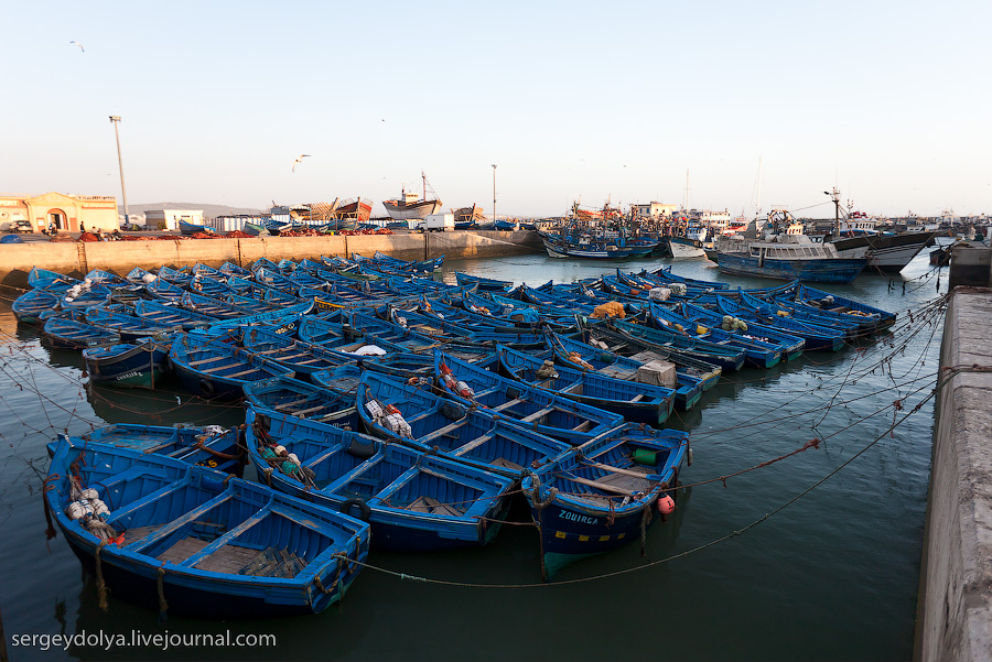 Фотография: Марокко: Эссуэйра и рыбный рынок Агадира №10 - BigPicture.ru