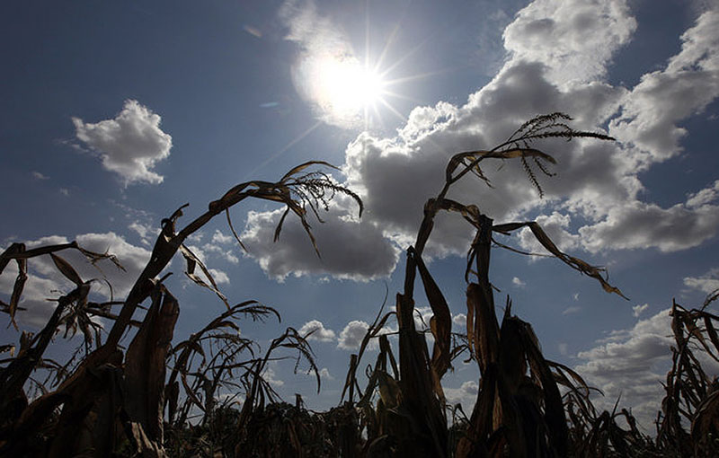 Фотография: Страшная засуха в Техасе: фанатики ждут конца света‎ №3 - BigPicture.ru