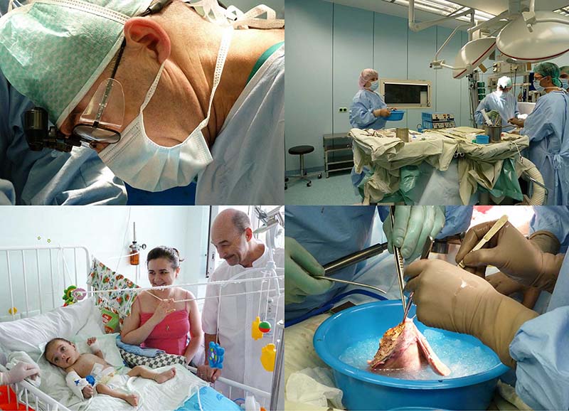 Фотография: Один день из жизни трансплантолога №1 - BigPicture.ru