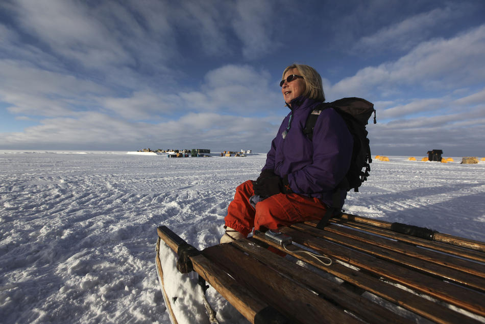 Фотография: Тающие льды Гренландии №18 - BigPicture.ru