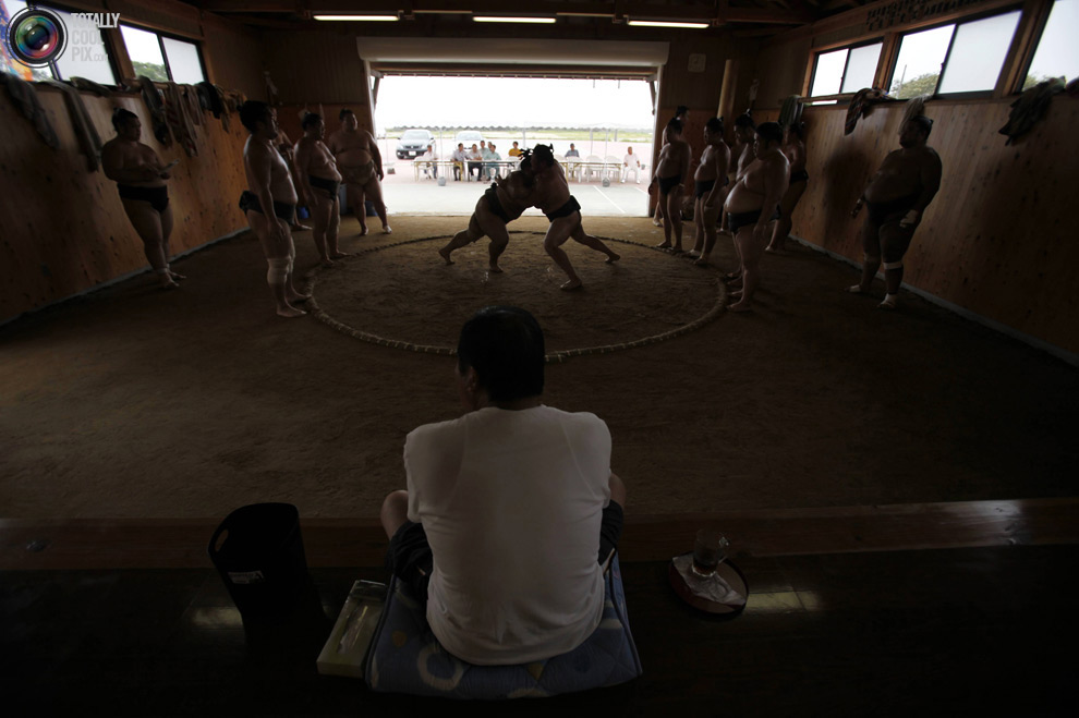 Фотография: Тренировка борцов сумо в Фукусиме №4 - BigPicture.ru