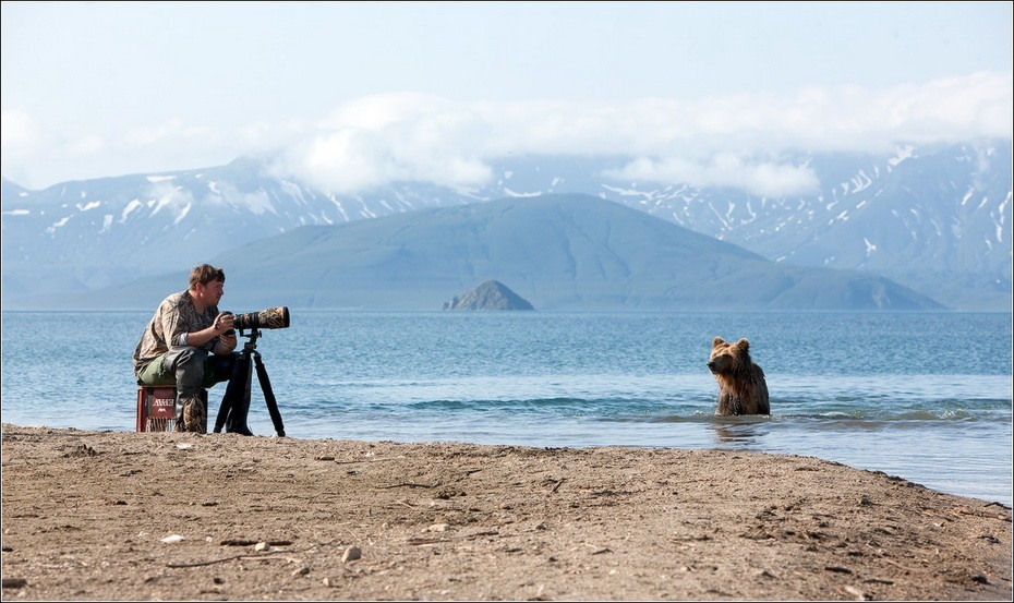 Фотография: Медведи на Камчатке №15 - BigPicture.ru