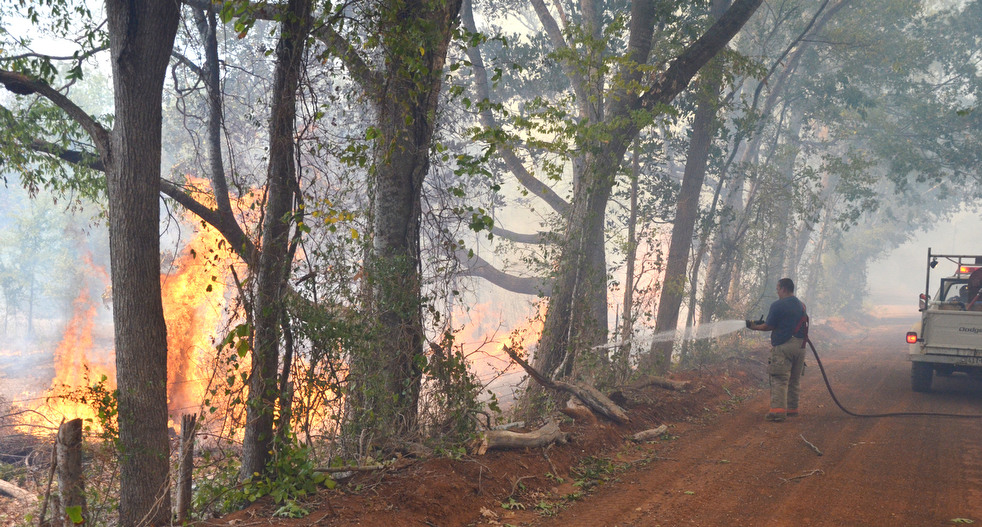 Фотография: Лесные пожары бушуют в Техасе №16 - BigPicture.ru