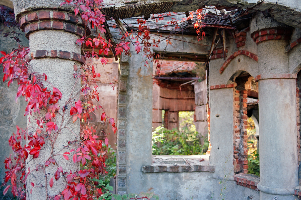 Фотография: Руины на острове Баннермана №22 - BigPicture.ru