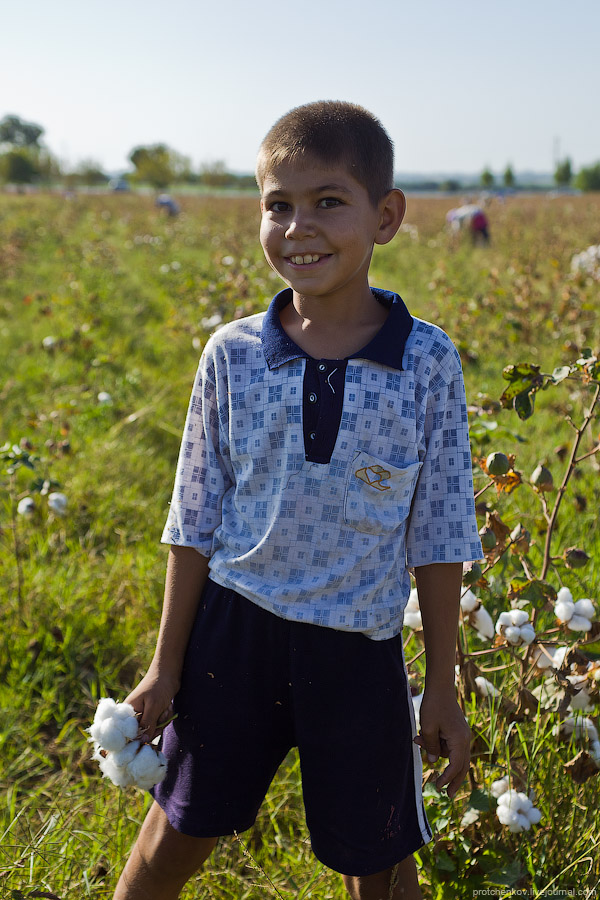 Фотография: Сбор хлопка в Узбекистане №27 - BigPicture.ru