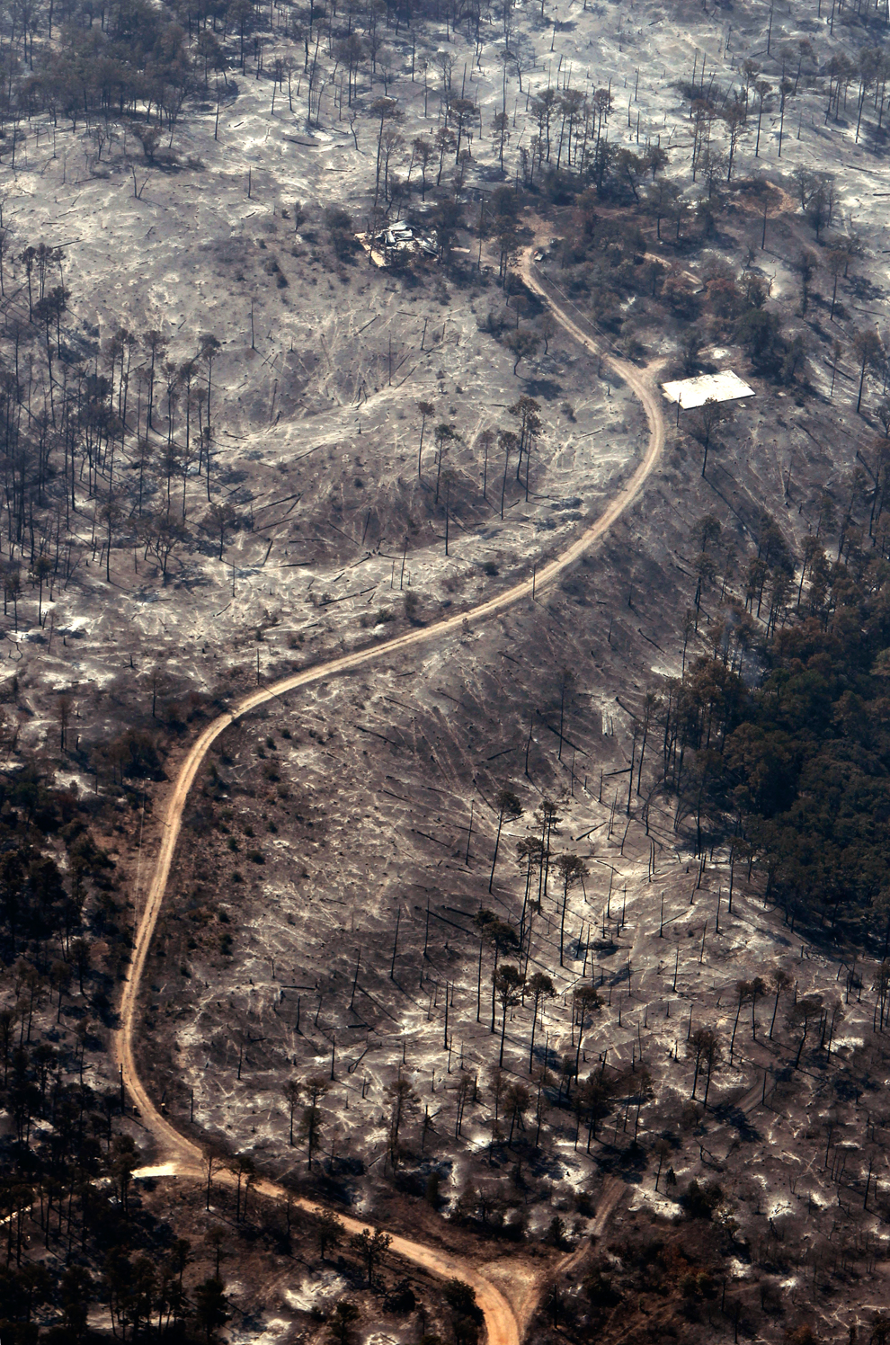 Фотография: Засуха и лесные пожары в Техасе №28 - BigPicture.ru
