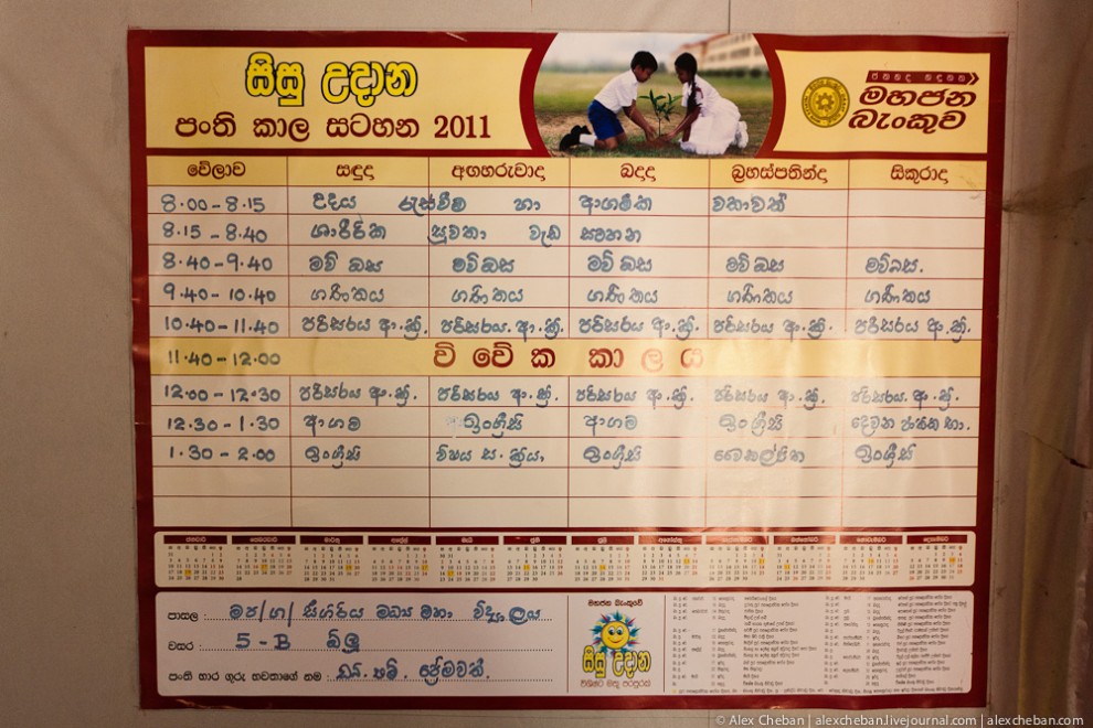 Фотография: Репортаж из Шри-Ланкийской школы №29 - BigPicture.ru