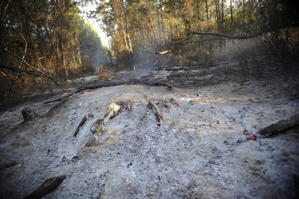 Фотография: Лесные пожары бушуют в Техасе №30 - BigPicture.ru