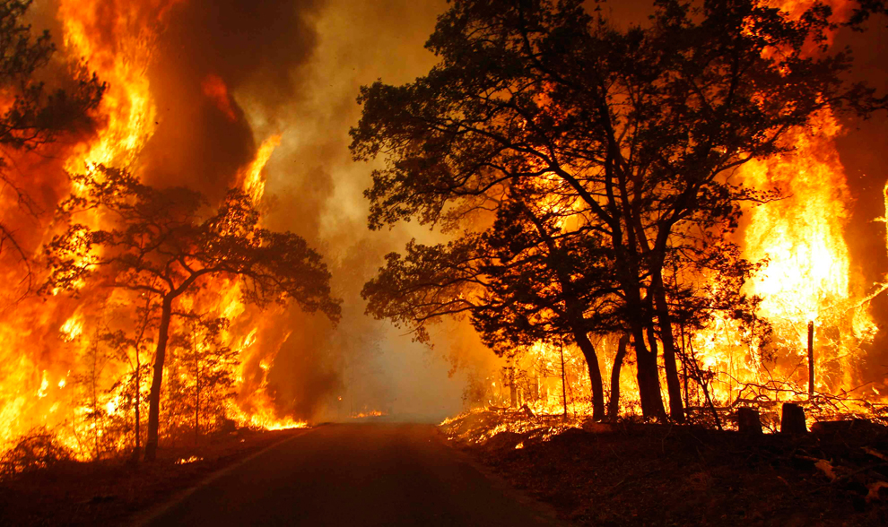 Фотография: Засуха и лесные пожары в Техасе №31 - BigPicture.ru