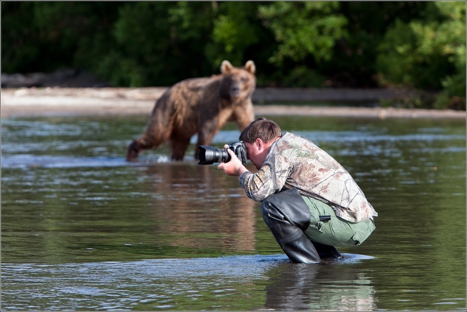 Фотография: Медведи на Камчатке №4 - BigPicture.ru