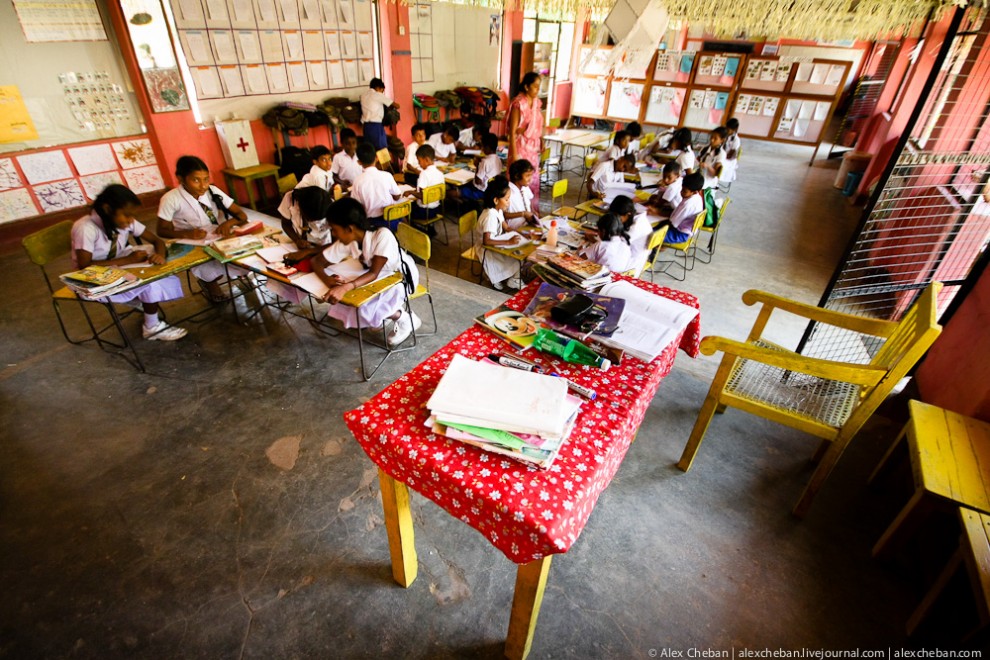 Фотография: Репортаж из Шри-Ланкийской школы №37 - BigPicture.ru