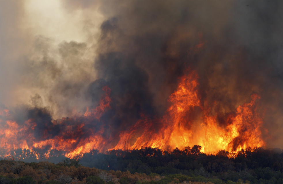 Фотография: Лесные пожары бушуют в Техасе №43 - BigPicture.ru