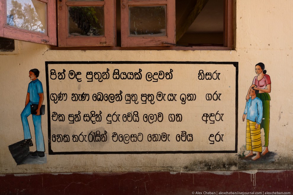 Фотография: Репортаж из Шри-Ланкийской школы №44 - BigPicture.ru