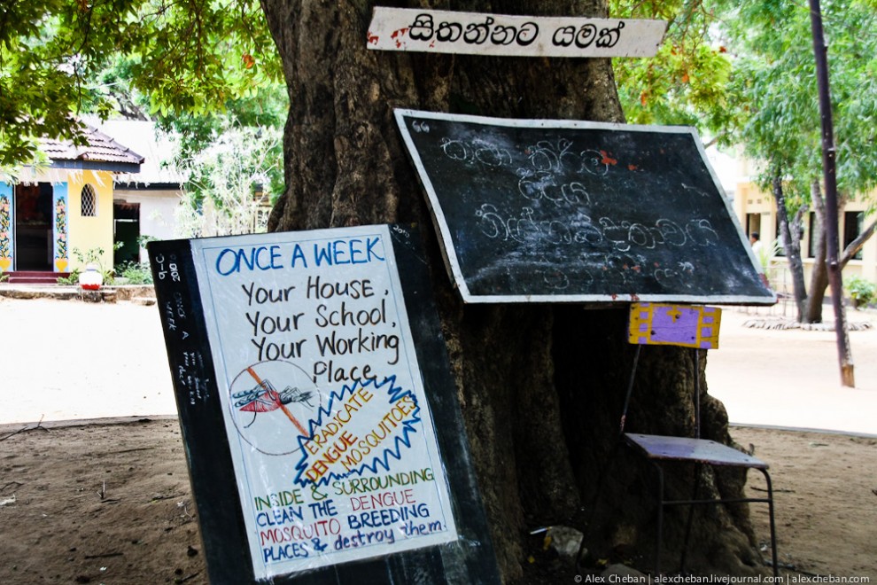 Фотография: Репортаж из Шри-Ланкийской школы №54 - BigPicture.ru