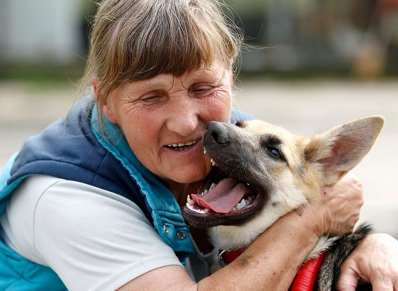 Фотография: Жизнерадостный щенок-инвалид №5 - BigPicture.ru