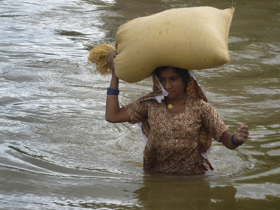 Фотография: Последствия наводнений в Индии и Пакистане №35 - BigPicture.ru