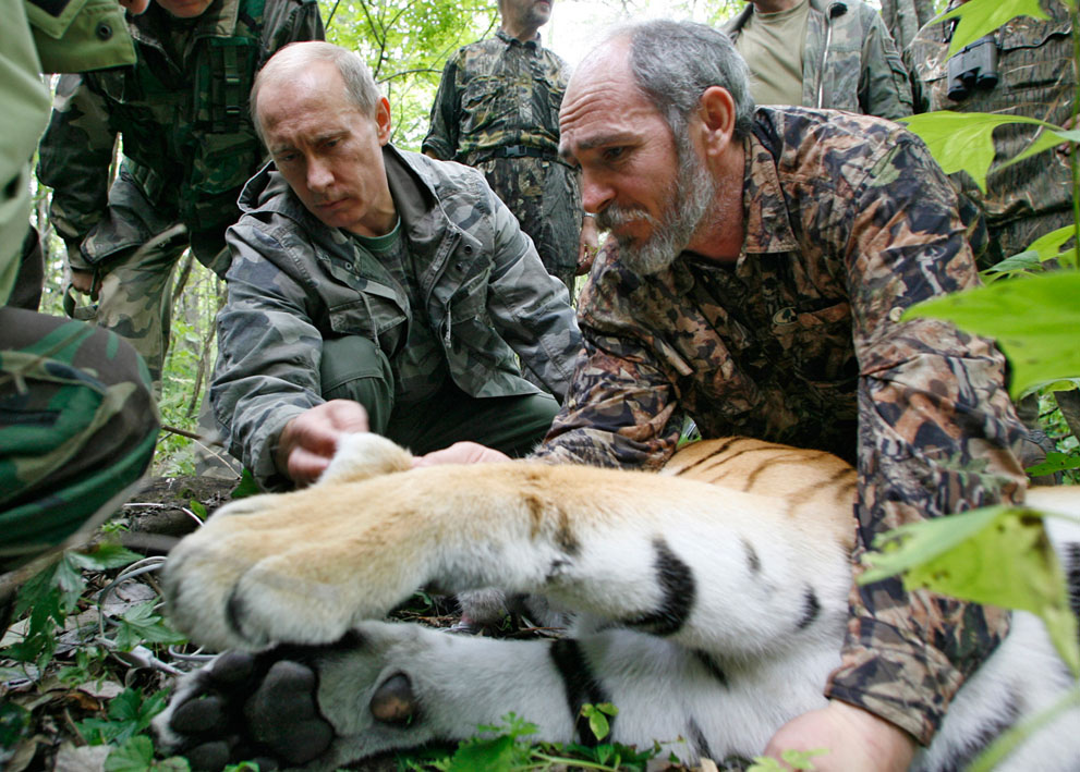 Фотография: 20 самых ярких фотографий Путина с животными №5 - BigPicture.ru