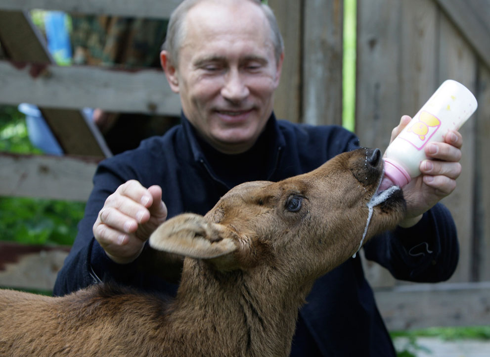 Фотография: 20 самых ярких фотографий Путина с животными №12 - BigPicture.ru