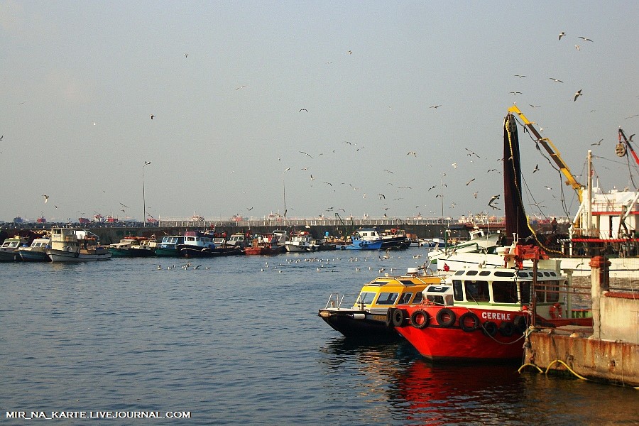 Фотография: Стамбул: Рыбный рынок Kumkapi Balik Pazari №2 - BigPicture.ru