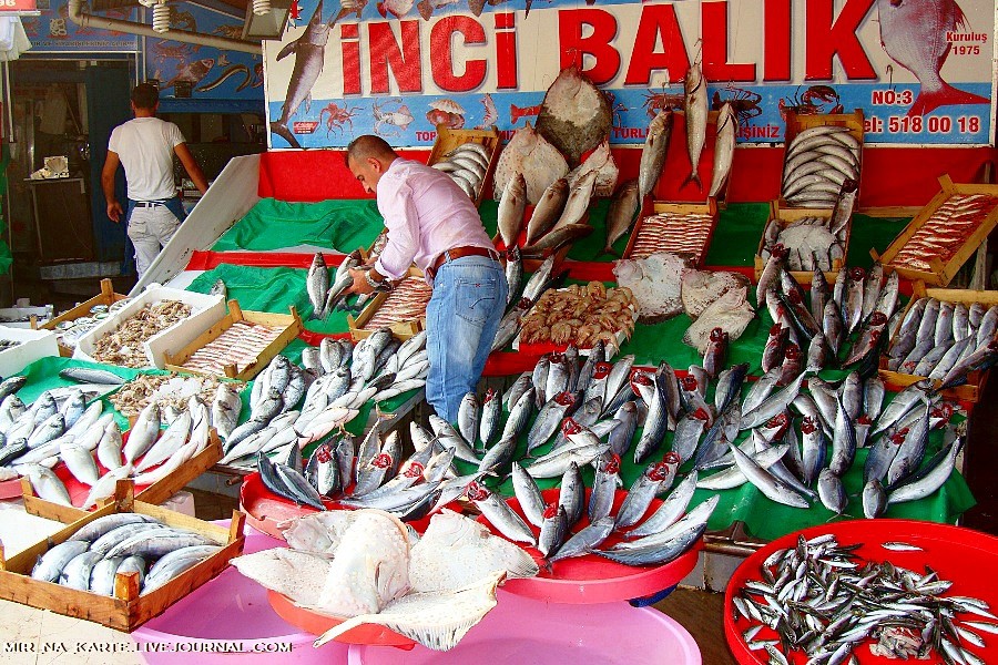 Фотография: Стамбул: Рыбный рынок Kumkapi Balik Pazari №12 - BigPicture.ru