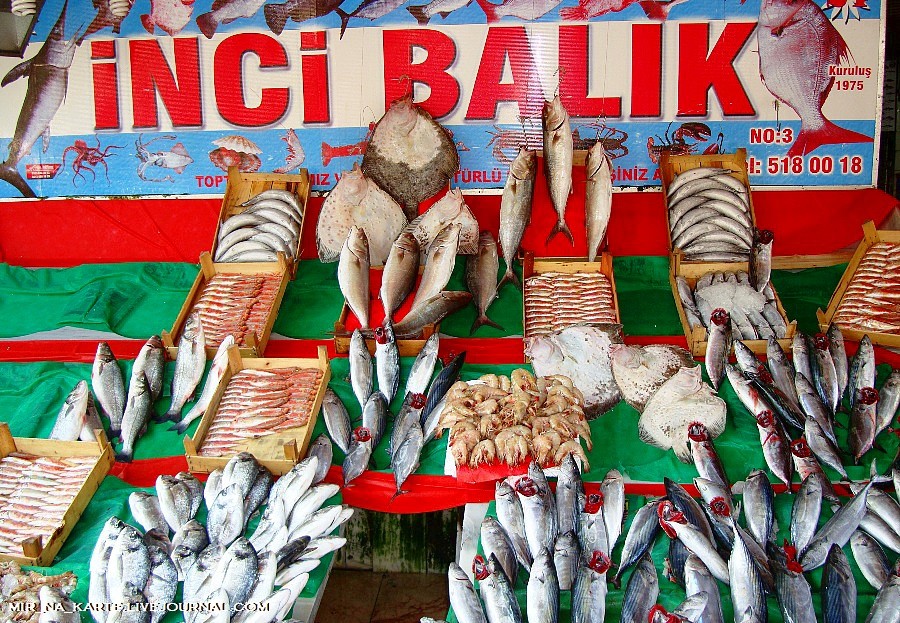 Фотография: Стамбул: Рыбный рынок Kumkapi Balik Pazari №13 - BigPicture.ru