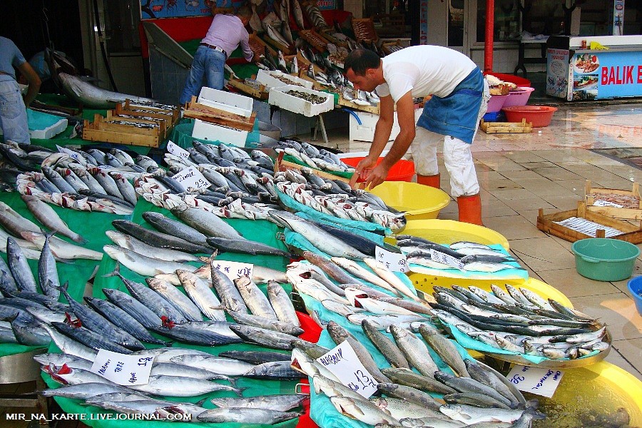 Фотография: Стамбул: Рыбный рынок Kumkapi Balik Pazari №15 - BigPicture.ru