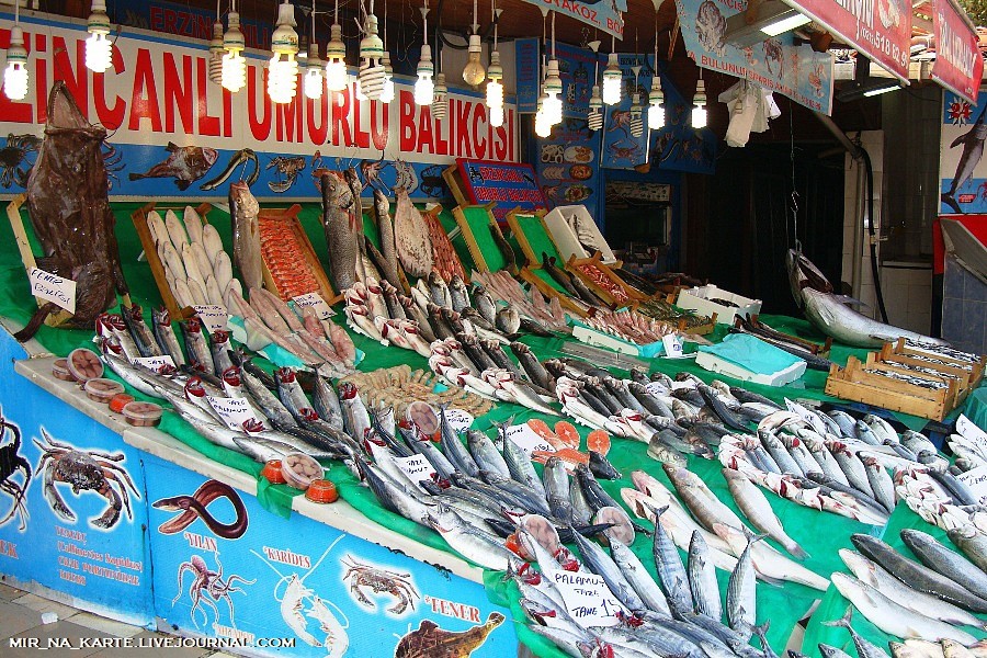 Фотография: Стамбул: Рыбный рынок Kumkapi Balik Pazari №16 - BigPicture.ru
