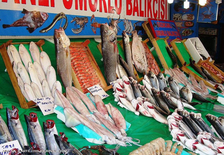 Фотография: Стамбул: Рыбный рынок Kumkapi Balik Pazari №17 - BigPicture.ru