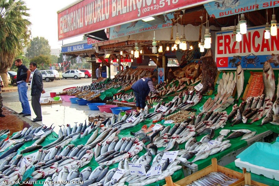 Фотография: Стамбул: Рыбный рынок Kumkapi Balik Pazari №3 - BigPicture.ru