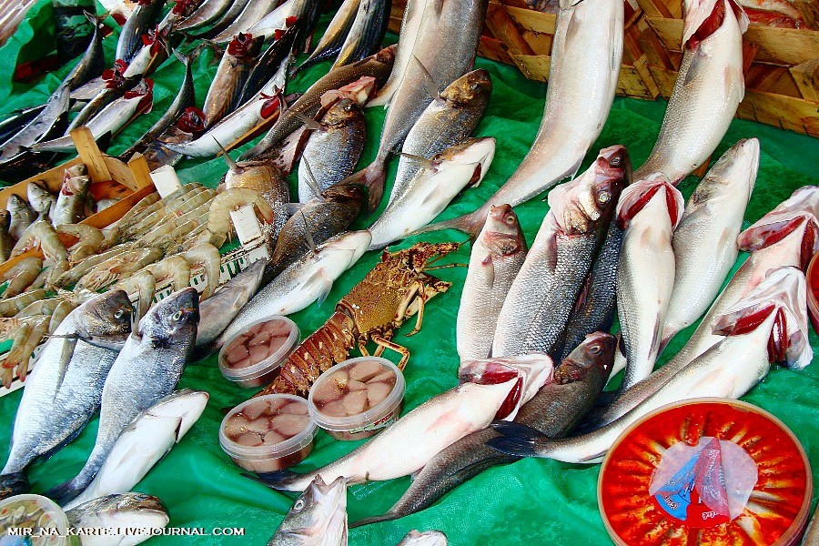 Фотография: Стамбул: Рыбный рынок Kumkapi Balik Pazari №22 - BigPicture.ru