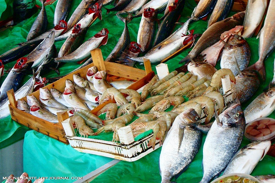 Фотография: Стамбул: Рыбный рынок Kumkapi Balik Pazari №24 - BigPicture.ru