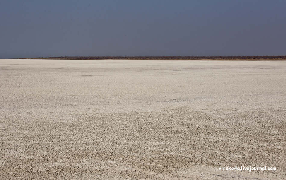 Фотография: Национальный парк Этоша в Намибии №28 - BigPicture.ru