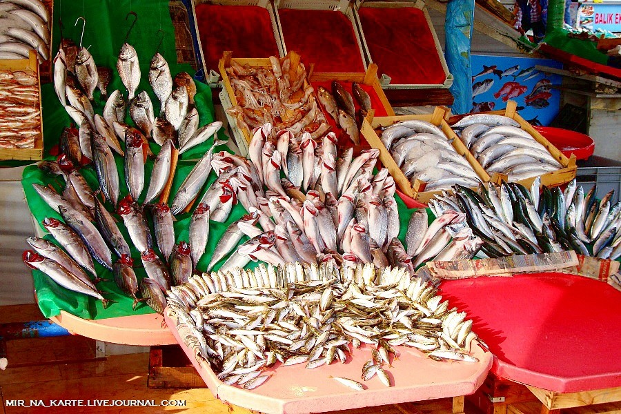 Фотография: Стамбул: Рыбный рынок Kumkapi Balik Pazari №30 - BigPicture.ru