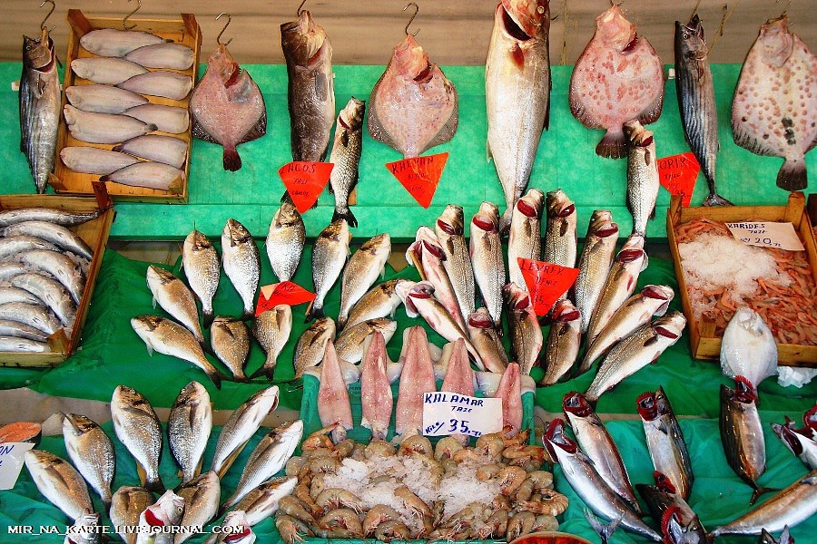 Фотография: Стамбул: Рыбный рынок Kumkapi Balik Pazari №36 - BigPicture.ru