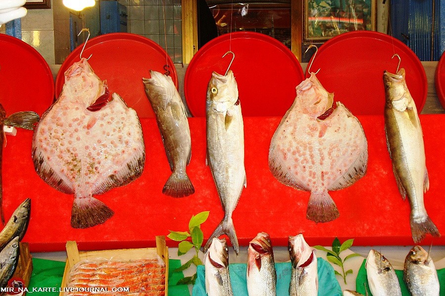 Фотография: Стамбул: Рыбный рынок Kumkapi Balik Pazari №38 - BigPicture.ru
