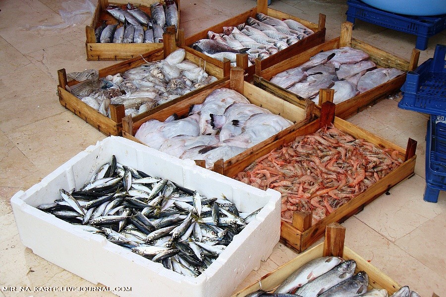 Фотография: Стамбул: Рыбный рынок Kumkapi Balik Pazari №5 - BigPicture.ru