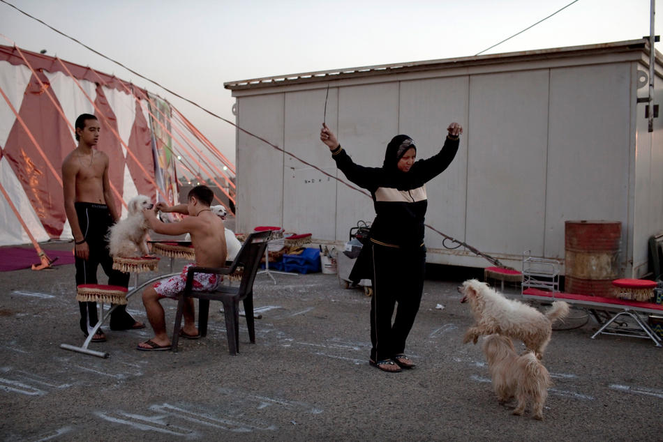 Фотография: В Багдад вернулся цирк №6 - BigPicture.ru