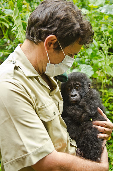Фотография: Из рук браконьеров: спасение детеныша гориллы №6 - BigPicture.ru