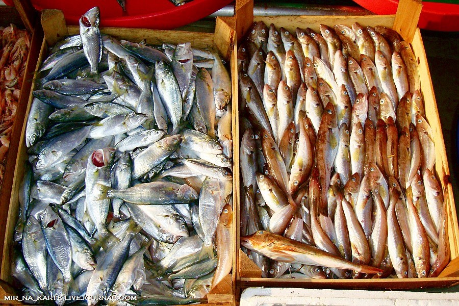 Фотография: Стамбул: Рыбный рынок Kumkapi Balik Pazari №10 - BigPicture.ru