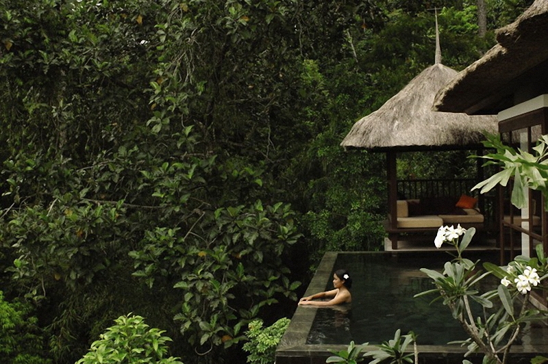 Фотография: Отель Ubud Hanging Gardens на Бали №6 - BigPicture.ru