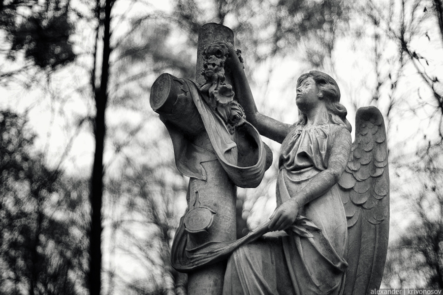 Фотография: Введенское кладбище №12 - BigPicture.ru