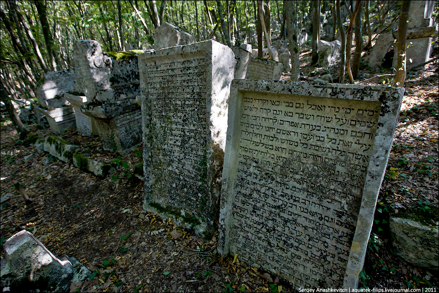 Фотография: Древнее караимское кладбище в Иосафатовой долине №12 - BigPicture.ru