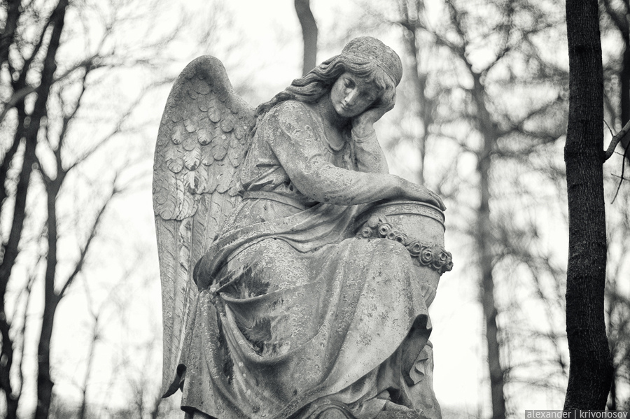 Фотография: Введенское кладбище №13 - BigPicture.ru