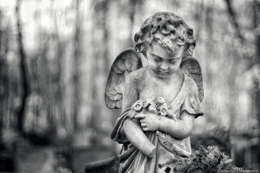 Фотография: Введенское кладбище №15 - BigPicture.ru