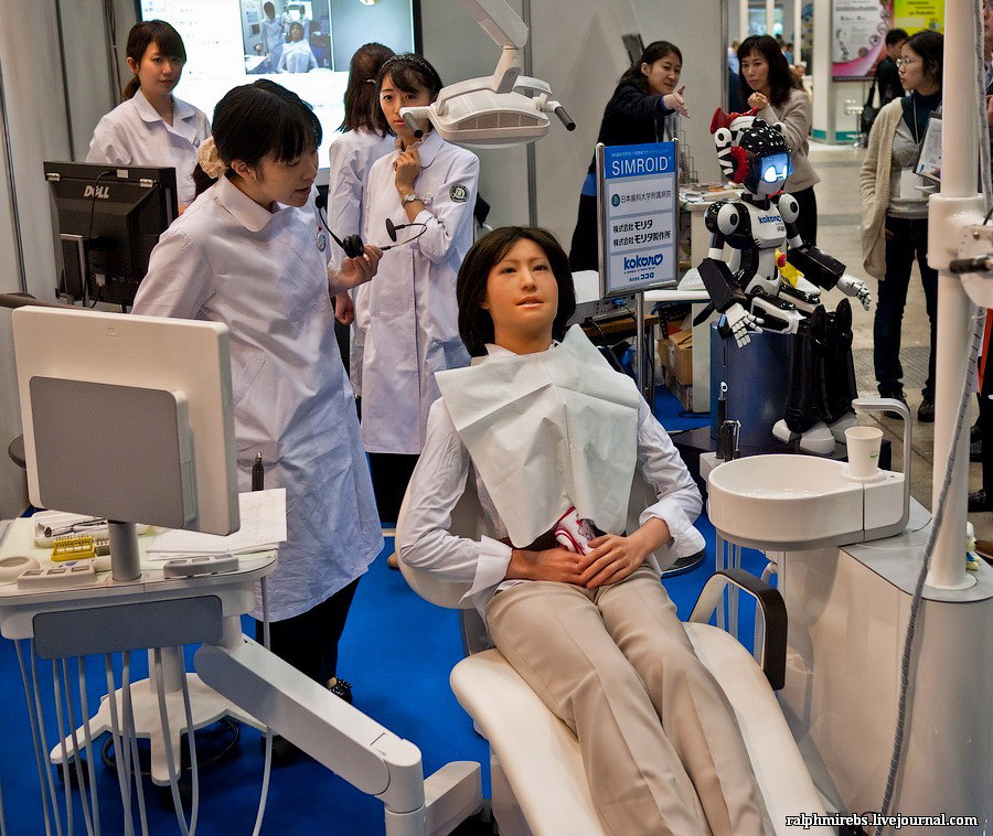 Фотография: Япония: Международная выставка роботов №17 - BigPicture.ru