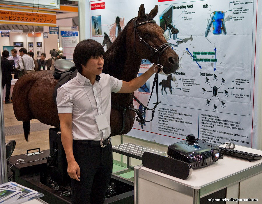 Фотография: Япония: Международная выставка роботов №18 - BigPicture.ru