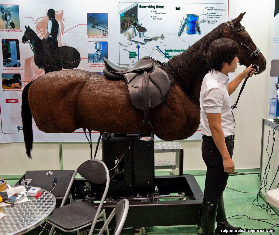 Фотография: Япония: Международная выставка роботов №19 - BigPicture.ru