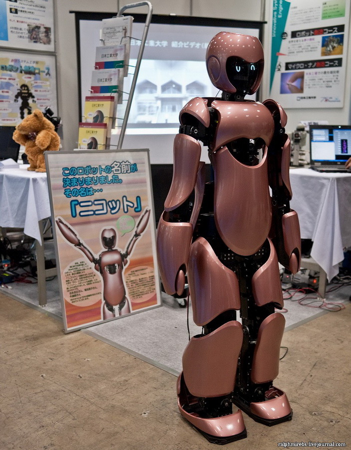 Фотография: Япония: Международная выставка роботов №28 - BigPicture.ru